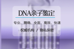 四川到哪里匿名DNA亲子鉴定,四川隐私亲子鉴定多少钱的费用 四川到哪里匿名DNA亲子鉴定,四川隐私亲子鉴定多少钱的费用