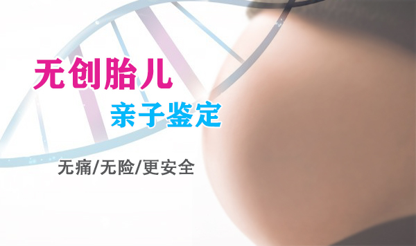 四川怀孕了需要怎么做胎儿亲子鉴定,四川无创孕期亲子鉴定大概价格 四川怀孕了需要怎么做胎儿亲子鉴定,四川无创孕期亲子鉴定大概价格