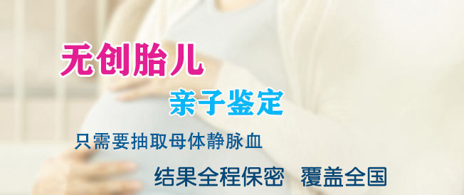 四川怀孕20周能做胎儿亲子鉴定吗, 四川怀孕20周能做胎儿亲子鉴定吗,