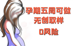 四川怀孕了需要怎么做胎儿亲子鉴定,四川无创孕期亲子鉴定大概价格 四川怀孕了需要怎么做胎儿亲子鉴定,四川无创孕期亲子鉴定大概价格