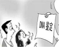 四川迁户亲子鉴定多少钱一次，四川迁户亲子鉴定在哪做