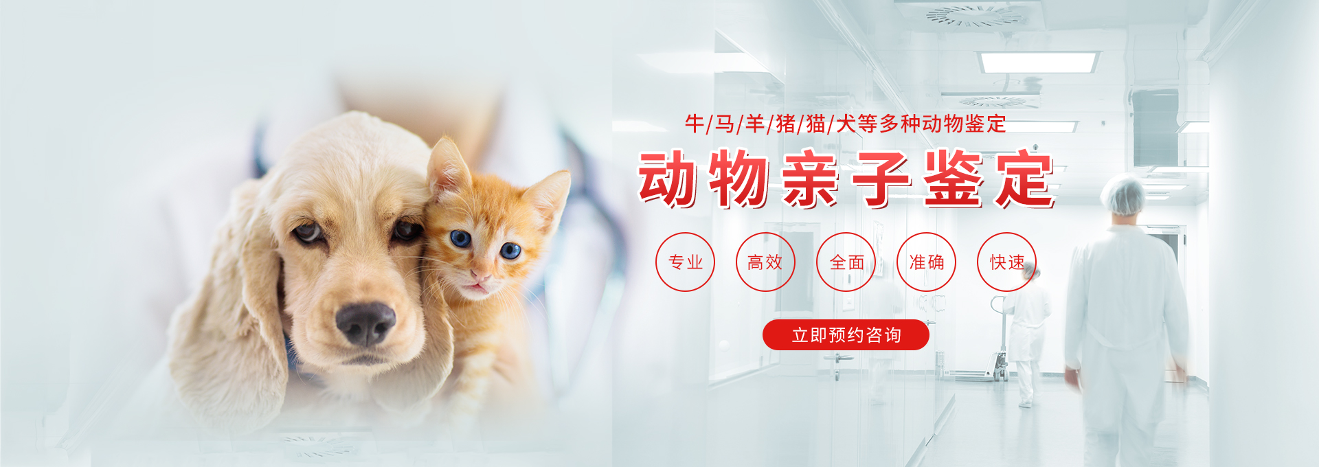 四川动物鉴定